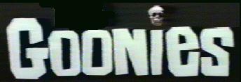Imagen del Titulo The Goonies